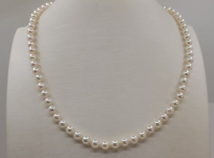 Halskette 5,5 x 6 mm helle Akoya-Perlen 