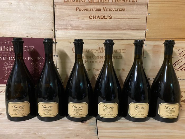 2022 Albert Pic 1er - Bourgogne Chardonnay - 勃艮第 - 6 Bottles (0.75L)