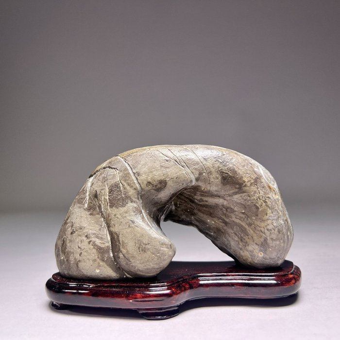Pietra - Impressive shaped Japanese viewing stone called "水石 Suiseki" - Showa (1926-) - Periodo Heisei (1989-2019)