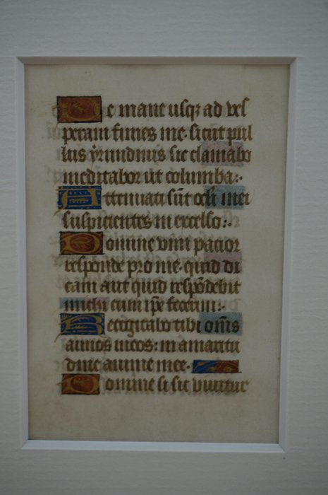 Blad uit het getijdenboek - Gothisch - Vellum - 15e eeuw