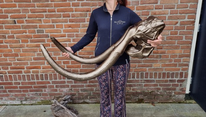 雕刻, NO RESERVE XXL Mammoth Skull Metal - 38 cm - 金屬