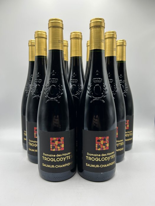 2022 Domaine des Hautes Troglodytes - Saumur-Champigny - 9 Bottles (0.75L)