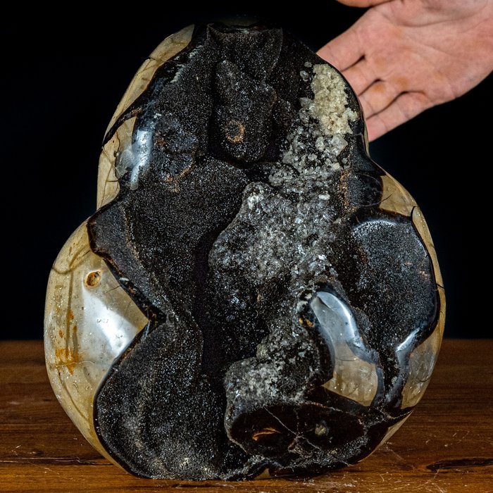 Natural AAA++ Septarian Freeform, with Beautiful Calcite Crystals- 8410.29 g