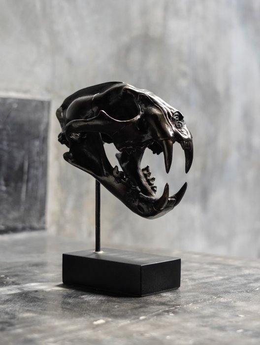 Sculpture, NO RESERVE PRICE - High quality, bronze cast Snow Leopard skull - Panthera uncia - 19.5 cm - Bronze
