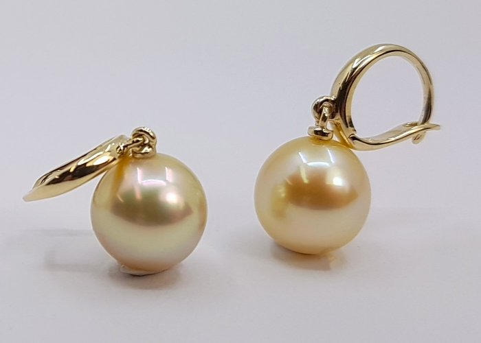 10x11mm Golden South Sea Pearls - 耳環 黃金 