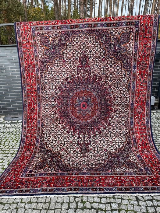 復古模具 - 地毯 - 305 cm - 212 cm
