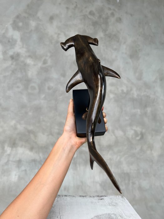 雕塑, NO RESERVE PRICE - Bronze Hammerhead Shark on a stand - Sphyrnidae - 23 cm - 黄铜色