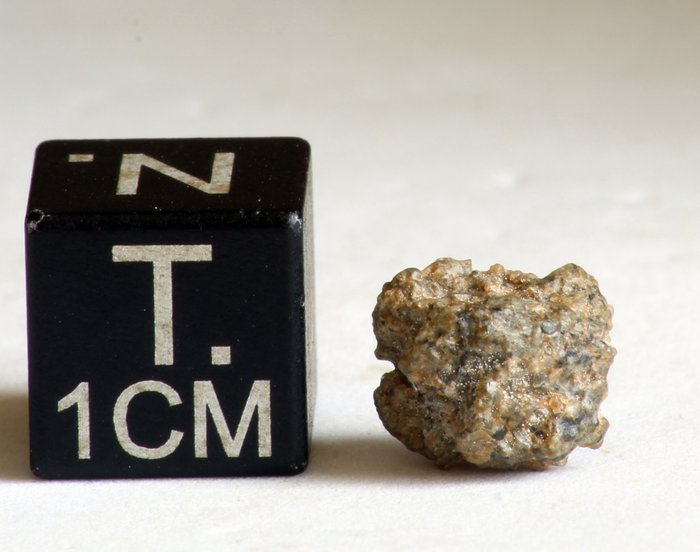 Météorite martienne (shergottite) probablement associée à Tindouf 002 Météorite d'Achondrite- 0.54 g - (1)