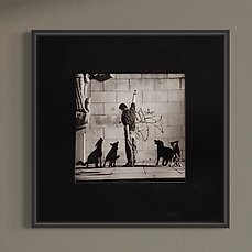 Mevr P Paqay – Jeune homme jouant avec ses 4 chiens devant un mur tagué