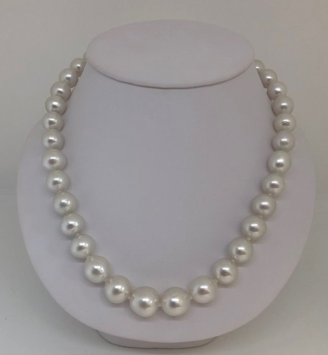 Halsband SouthSea Pearls - Silverklappar 