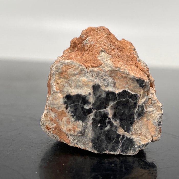 SUPER!! MÅNE Meteorit BECHAR 007 XXL!!! Muldvarp - 38.7 g