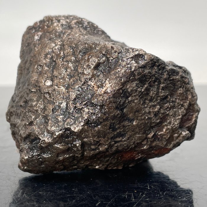 Campo del Cielo, noyau d'un astéroïde ***SPÉCIAL, PAS DE PRIX DE RÉSERVE*** Météorite métallique- 413 g