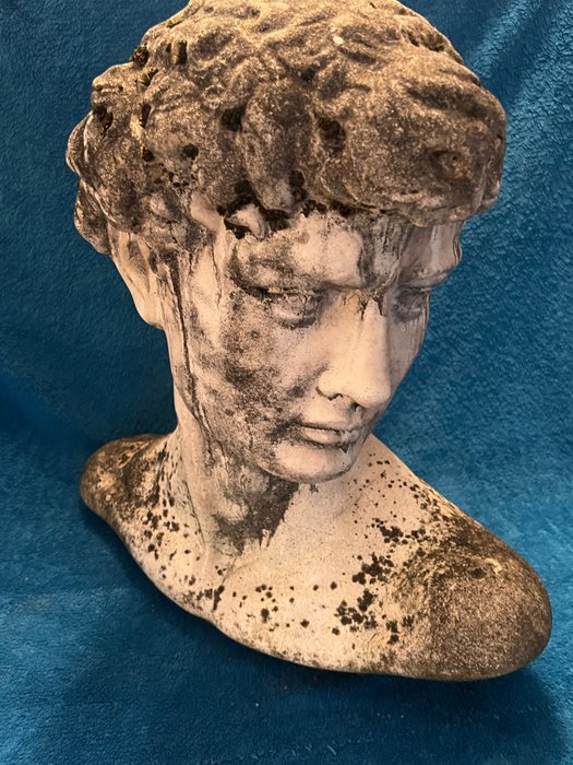 Busto, David naar Michelangelo - 45 cm - calcestruzzo