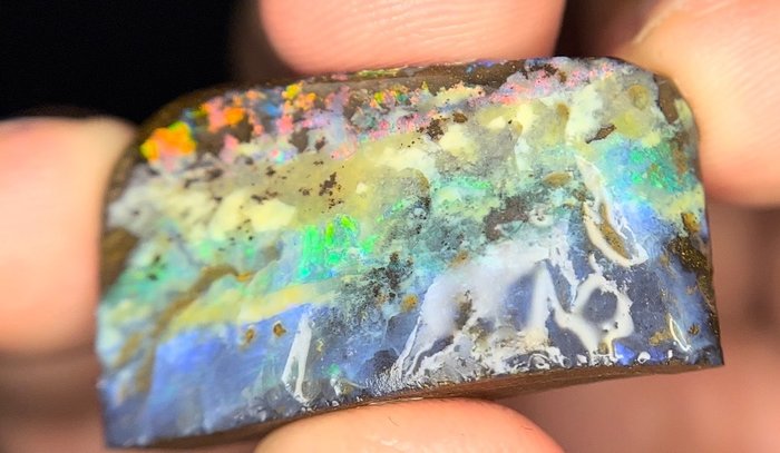Opale Boulder del Queensland 41.275 ct cabochon a forma libera e lucido - Altezza: 30.6 mm - Larghezza: 17.8 mm- 8.26 g