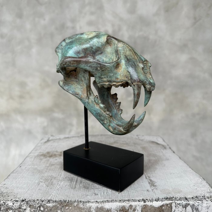 Sculpture, NO RESERVE PRICE - Patinated bronze Snow Leopard - 19.5 cm - Bronze
