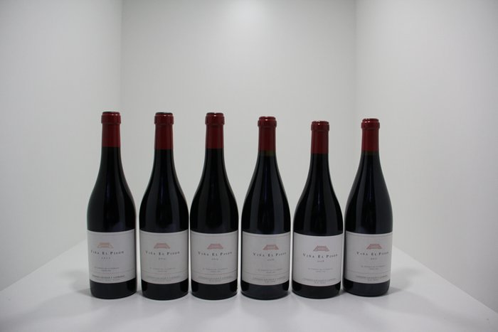 2013, 2014, 2015, 2016, 2017 & 2018 Bodegas y Viñedos Artadi, Viña El Pisón - Rioja - 6 Flaskor (0,75L)