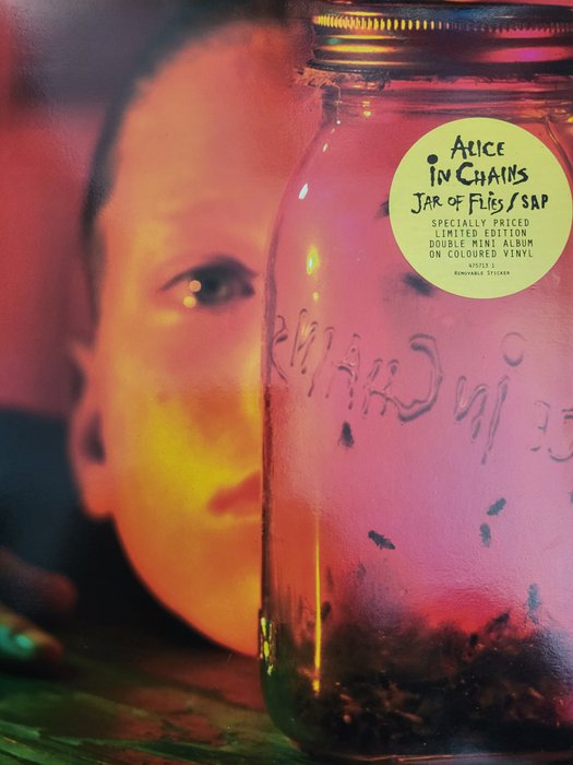 Alice In Chains - Jar of Flies ltd Edition - Album 2 x LP (album doppio) -  180 grammi - 1994 - Catawiki