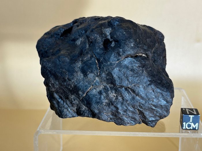 achondrite météorite primitive (Winonaite) RNF 16203 - 770 g - (1)