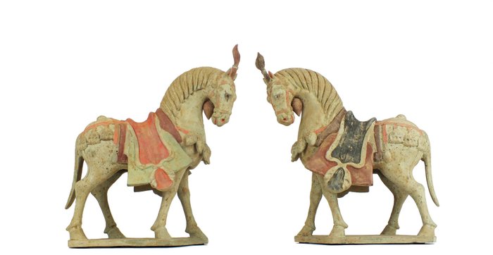 Dynastie Qi du Nord (550-577 après J.-C.) Terre cuite Magnifique rare paire de chevaux caparaçonnés en poterie grise peinte, avec deux tests TL - 36×30×15 cm