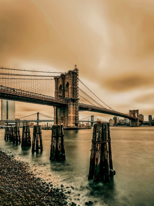 Fabian Kimmel - Bridges and the river, New York