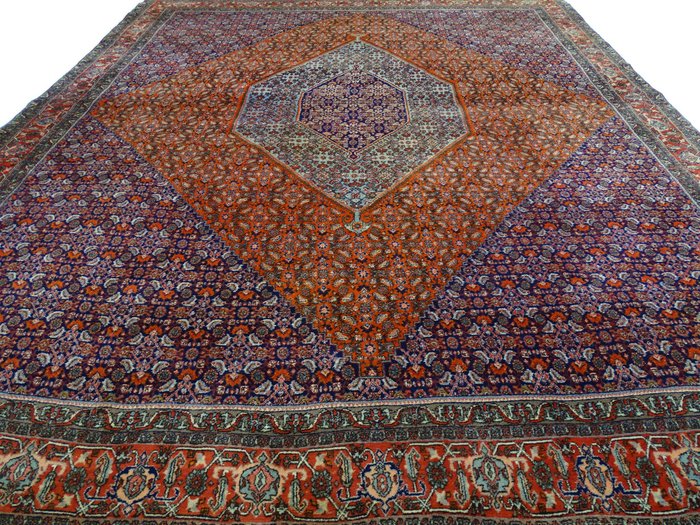 比賈爾 - 淨化 - 小地毯 - 390 cm - 320 cm