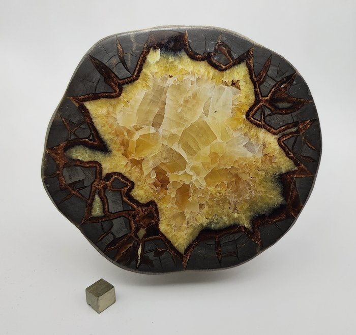 Gros nodule de Septaria avec Calcite, Aragonite et gangue Argile UTAH, USA - Hauteur : 16.5 cm - Largeur : 15 cm- 2.34 kg