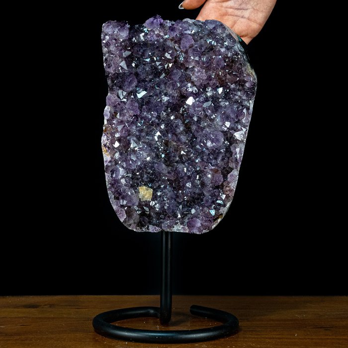 Geweldige dieppaarse amethist met calcietkristallen - Druse op standaard, Uruguay- 6741.78 g