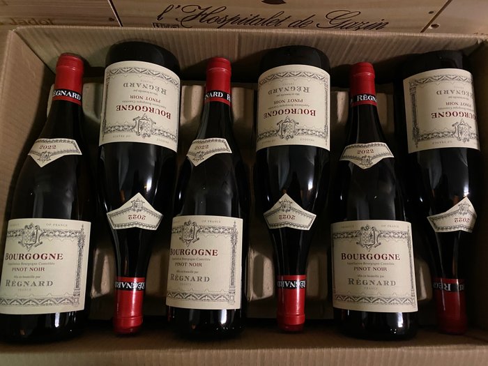 2022 Regnard Bourgogne Pinot Noir - Burgunder - 6 Flasker  (0,75 l)