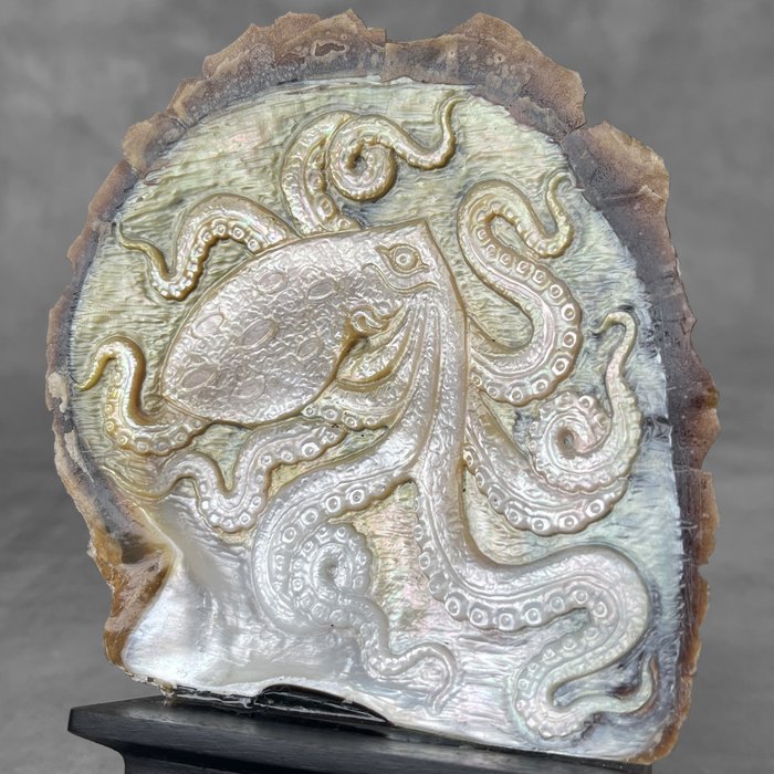 GEEN RESERVEPRIJS – Mooie gegraveerde parelmoer op een aangepaste standaard – Octopus Carving – Zeeschelp – Pinctada Maxima