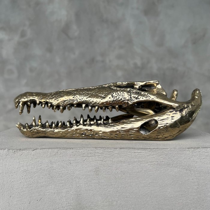 雕塑, No Reserve Price - Polished Bronze Saltwater Crocodile Skull - Crocodylus Porosus - 5 cm - 黄铜色