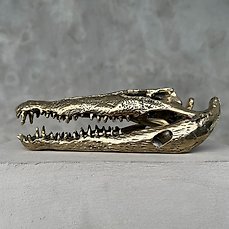 sculptuur, No Reserve Price – Polished Bronze Saltwater Crocodile Skull – Crocodylus Porosus – 5 cm – Brons