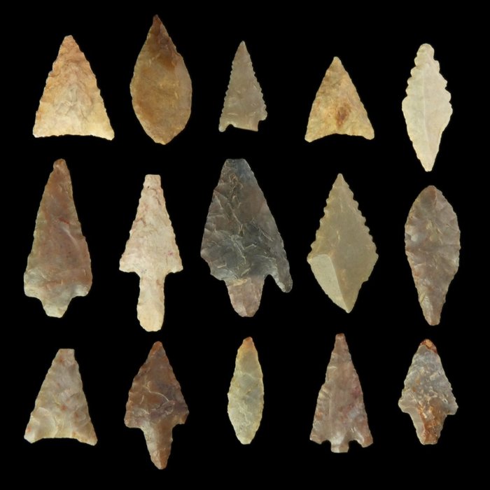 Neolitico Pietra, Pietra Focaia, Agata Collezione di 15 punte di freccia neolitiche
