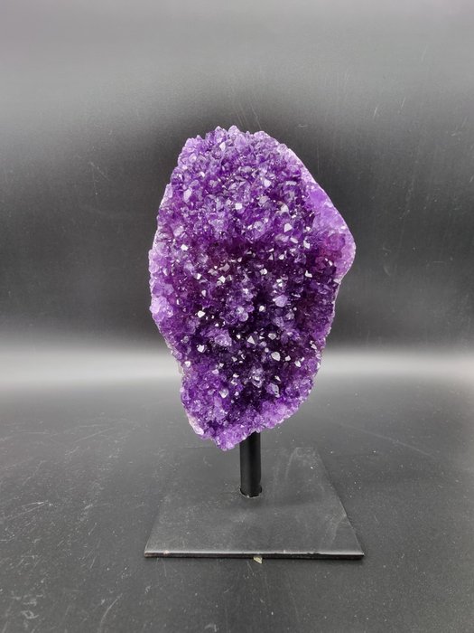 NRP：HQ 紫水晶 + 支架 - 高度: 16 cm - 宽度: 8 cm- 764 g