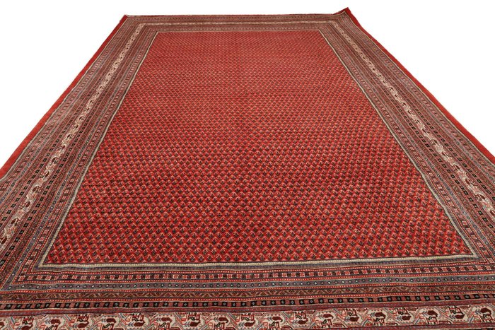 Sarouck - 小地毯 - 533 cm - 318 cm