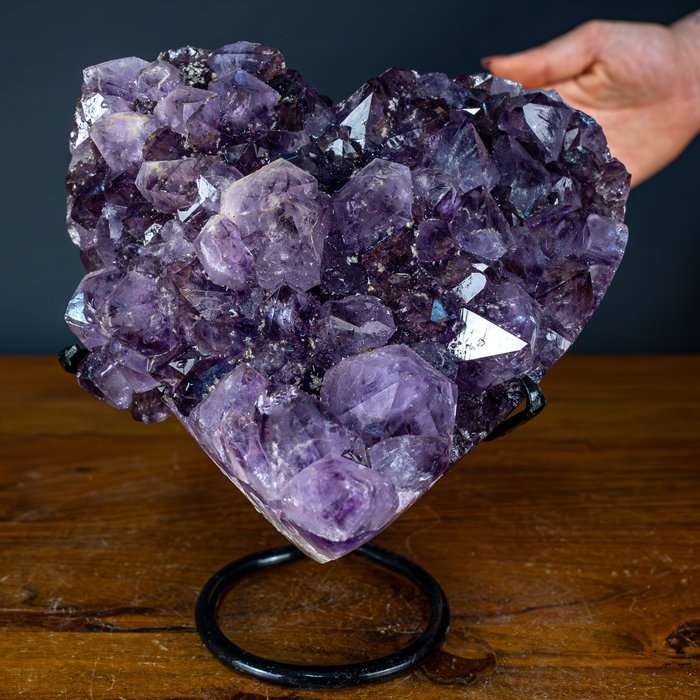 天然深紫色紫水晶心 烏拉圭看台上的德魯茲- 2282.94 g
