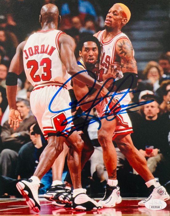 芝加哥公牛队 - NBA - Dennis Rodman - Photograph 