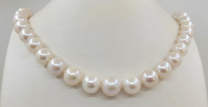 Collana Perle d'acqua dolce Edison bianche da 11x13,5 mm