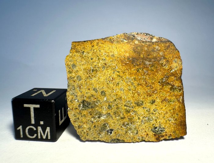 A diogenitszelet valószínűleg az NWA 3143-hoz párosul Akondrit meteorit- 4.804 g - (1)