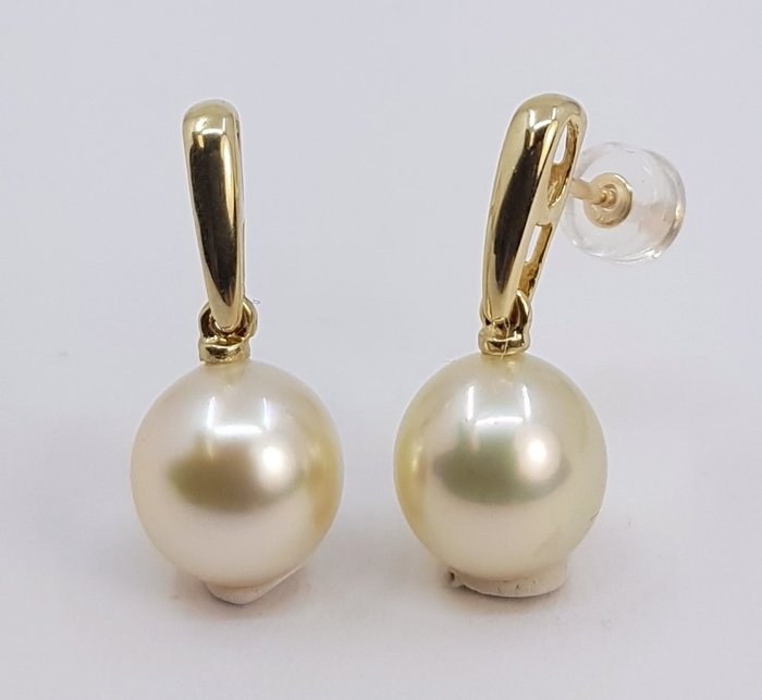9x10mm Golden South Sea Pearls - Øredobber - 14 karat Gull 