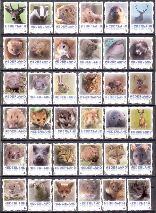 Paesi Bassi 2013 - mammiferi nei Paesi Bassi serie completa
