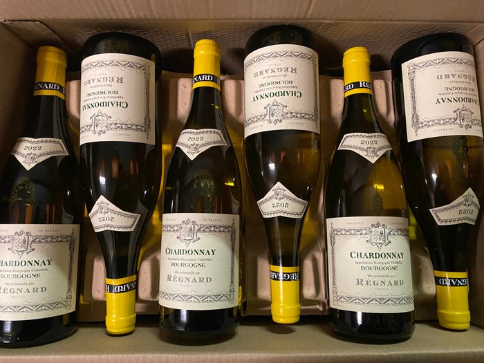 2022 Régnard Bourgogne Chardonnay - Borgogna - 6 Bottiglie (0,75 L)