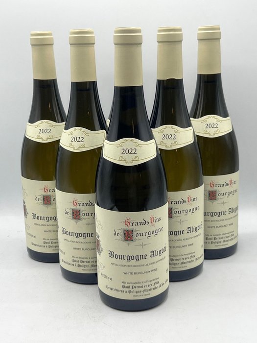 2022 Paul Pernot Bourgogne Aligoté - Burgundy - 6 Bottles (0.75L)