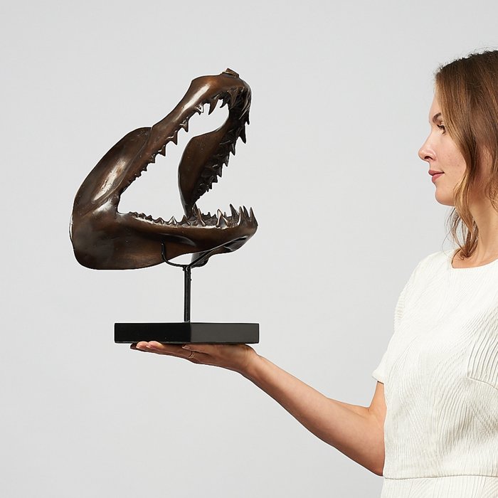 Rzeźba, Finest detail, bronze-cast Mako Shark Jaws - Isurus oxyrinchus - 35 cm - Brązowy