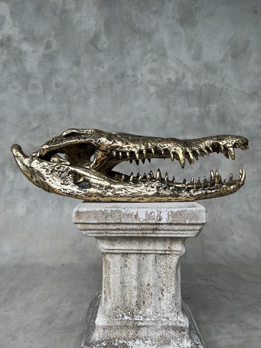Γλυπτό, Large Saltwater Crocodile Skull fashioned in bronze - Crocodylus Porosus - 20 cm - Μπρούντζος