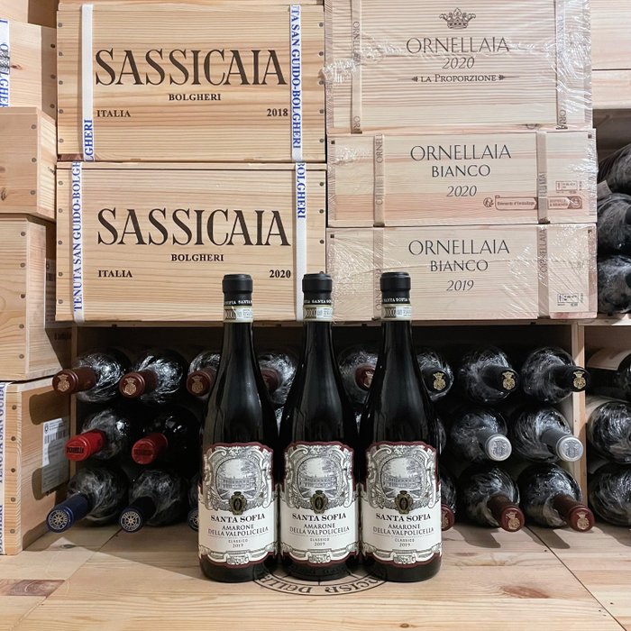 2019 Santa Sofia - Amarone della Valpolicella DOCG - 3 Bottles (0.75L)