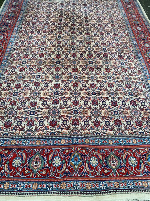 Sarouck - 地毯 - 331 cm - 229 cm