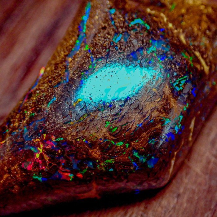 Natural AAA+++ Boulder Opal Lustruit 44.565 ct- 8.91 g