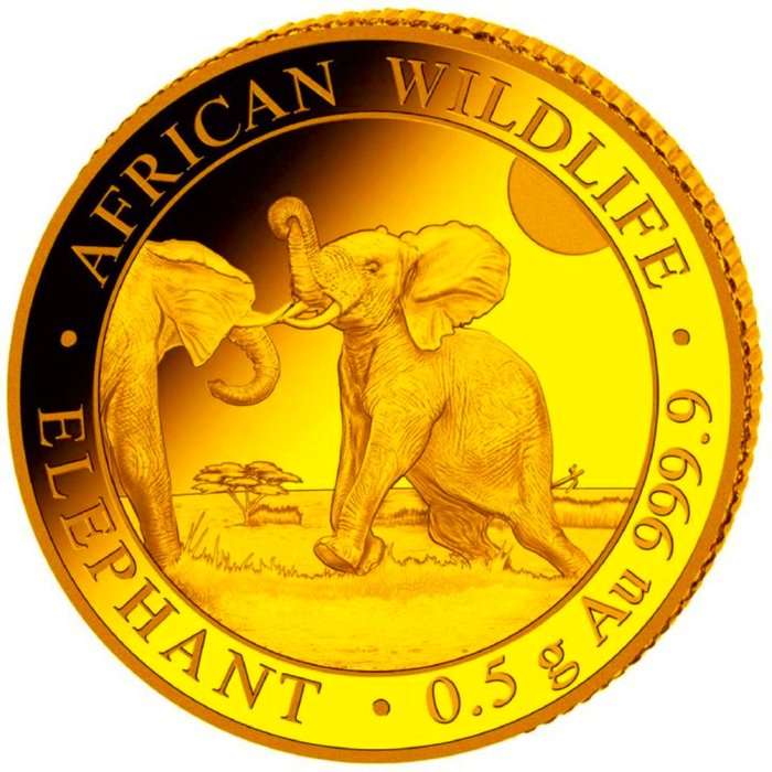 Somalia. 20 Shillings 2024 "Elephant", Certificate, (.9999) Proof  (Ohne Mindestpreis)