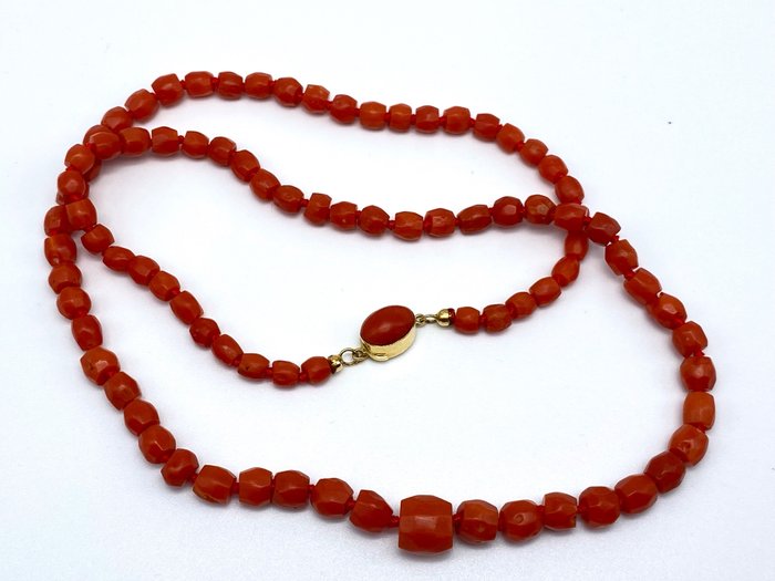 18 kt. Yellow gold - Necklace Coral