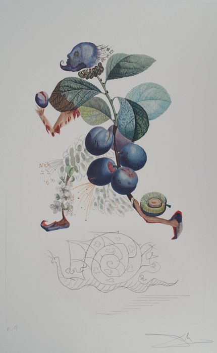 Preview of the first image of Salvador Dali (1904-1989) - Flordali, les Fruits : Prunier Hâtif.